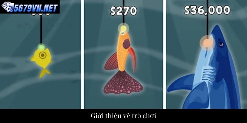 Giới thiệu về trò chơi