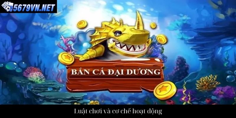 Luật chơi và cơ chế hoạt động